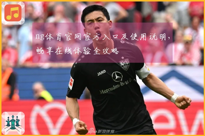 ng体育官网官方入口及使用说明，畅享在线体验全攻略