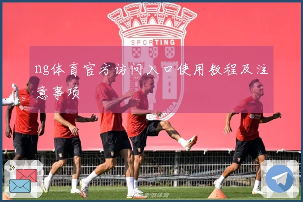 ng体育官方访问入口使用教程及注意事项