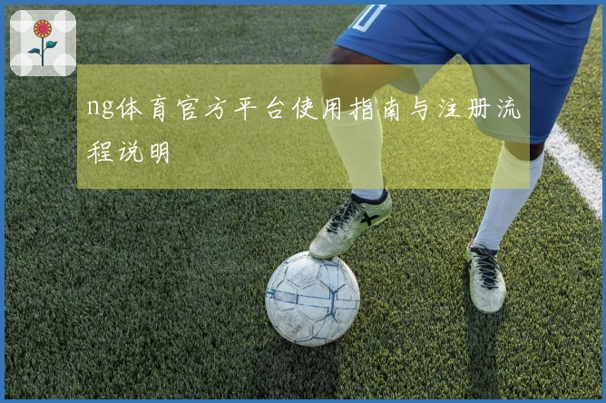 ng体育官方平台使用指南与注册流程说明