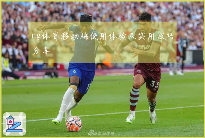 ng体育移动端使用体验及实用技巧分享