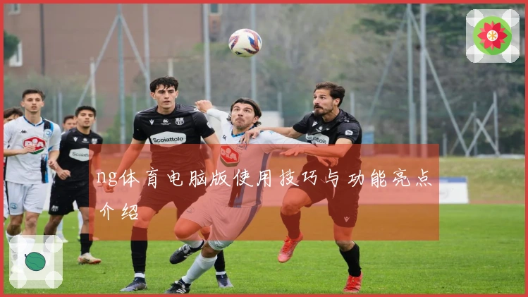 ng体育电脑版使用技巧与功能亮点介绍