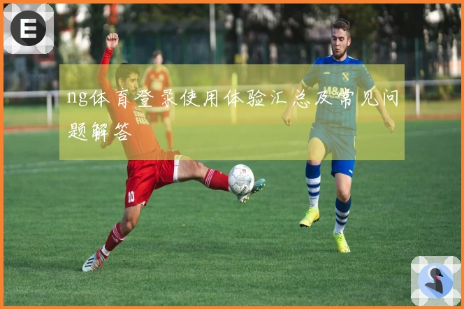 ng体育登录使用体验汇总及常见问题解答