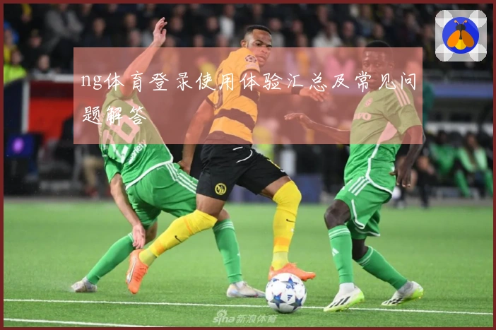 ng体育登录使用体验汇总及常见问题解答