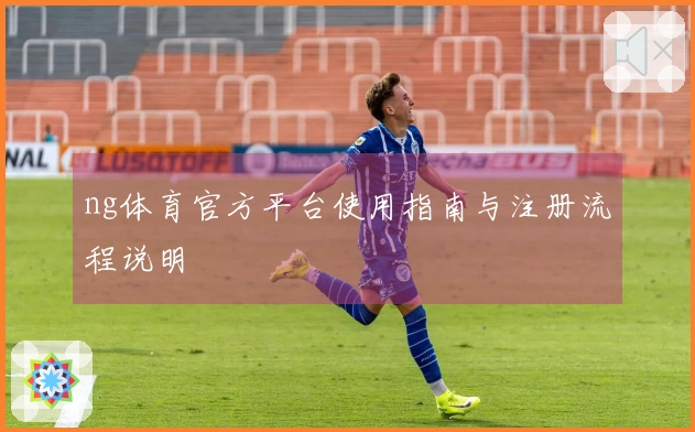 ng体育官方平台使用指南与注册流程说明